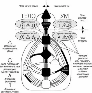 [Дизайн Человека] Правое и левое