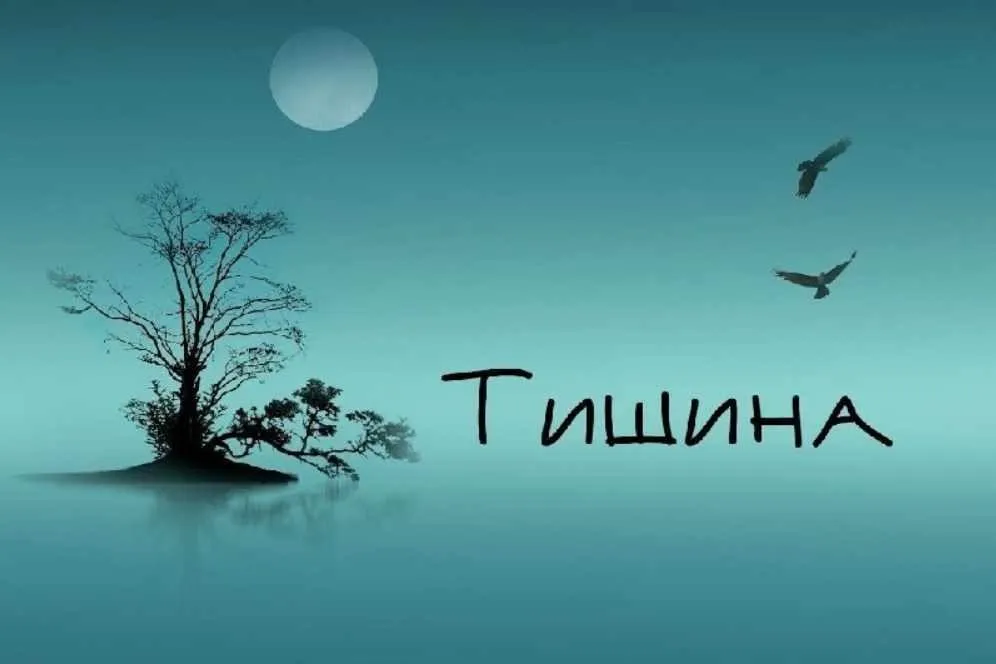 Сессия Тишины (Дарья Хэнсон)