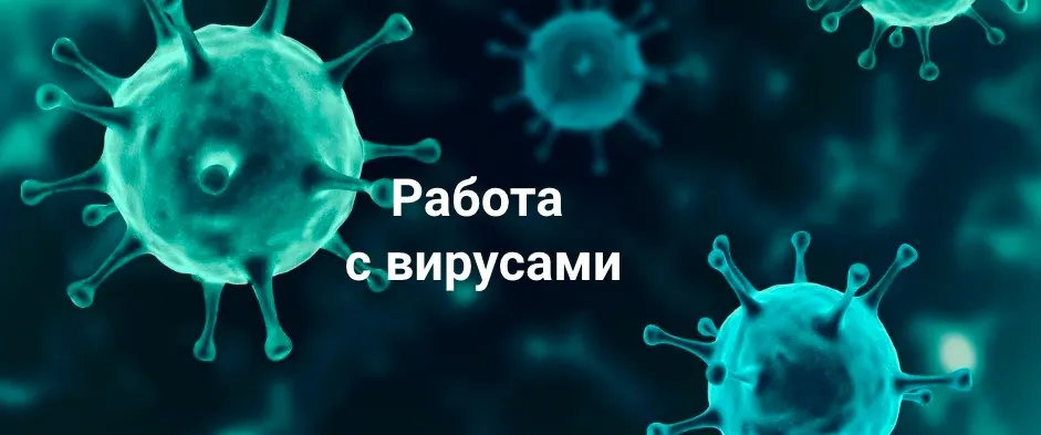 Работа с Вирусами (Никита Истомин)
