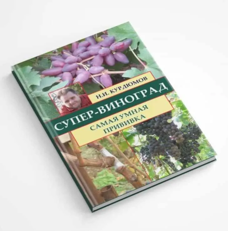 Супер-виноград. Навык 3 Самая умная прививка (Николай Курдюмов)
