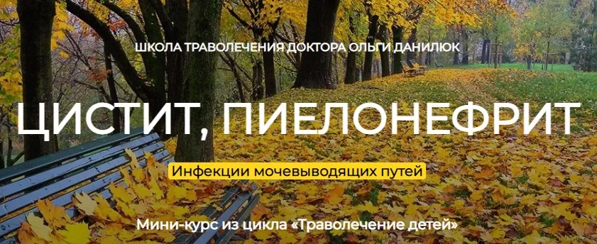Цистит. Пиелонефрит. Устраняем инфекции мочевыводящих путей (Ольга Данилюк)