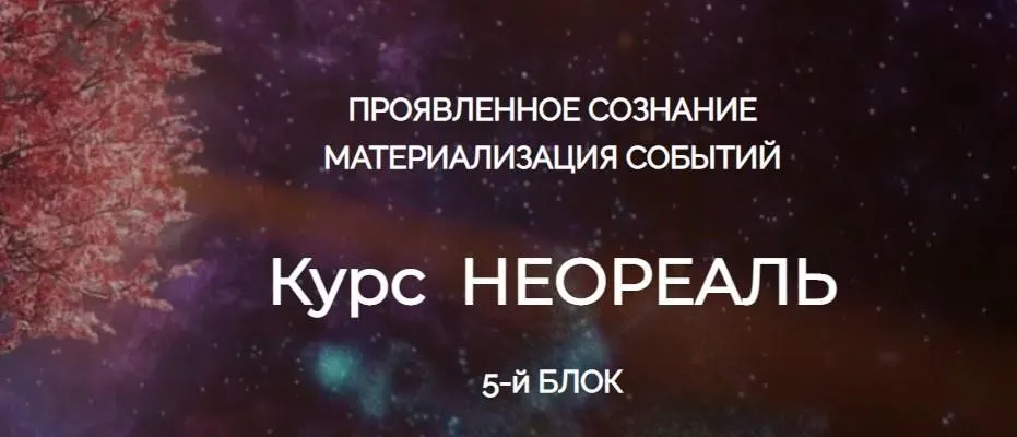 Неореаль 5. Проявленное сознание. Материализация событий (Эмилия Франк)