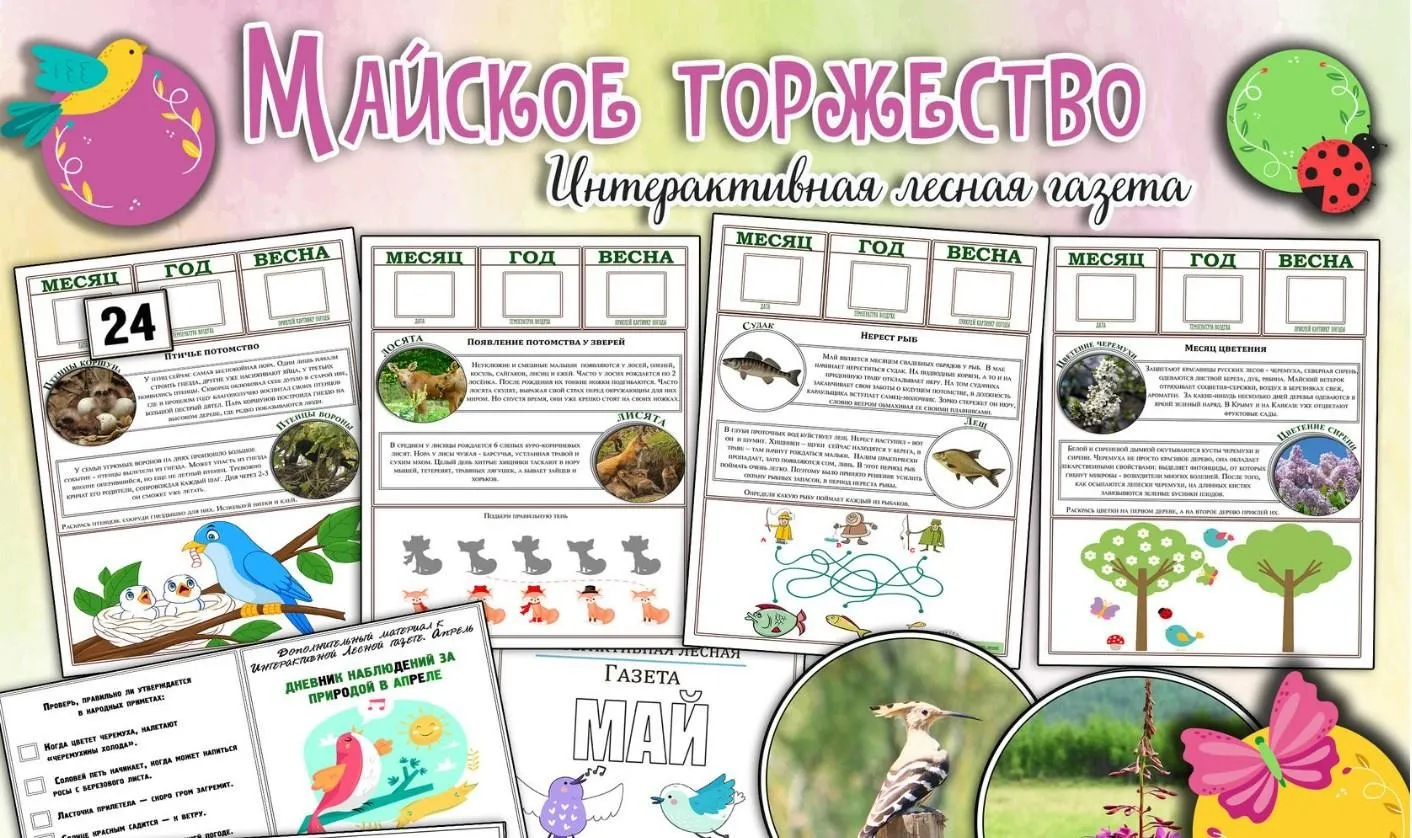 [Увлекательное обучение] Интерактивная Лесная газета. Майский выпуск. Месяц цветения и птичьих песен (Елена Солдатова)