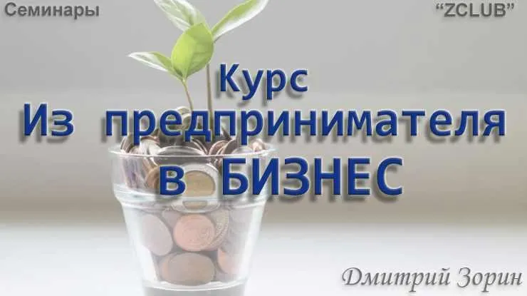 Из предпринимателя в бизнес (Дмитрий Зорин)