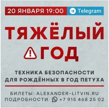Тяжелый год. Техника безопасности для рожденных в год Петуха (Александр Литвин)