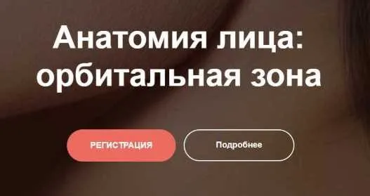 Анатомия лица: орбитальная зона (Ольга Турбина)