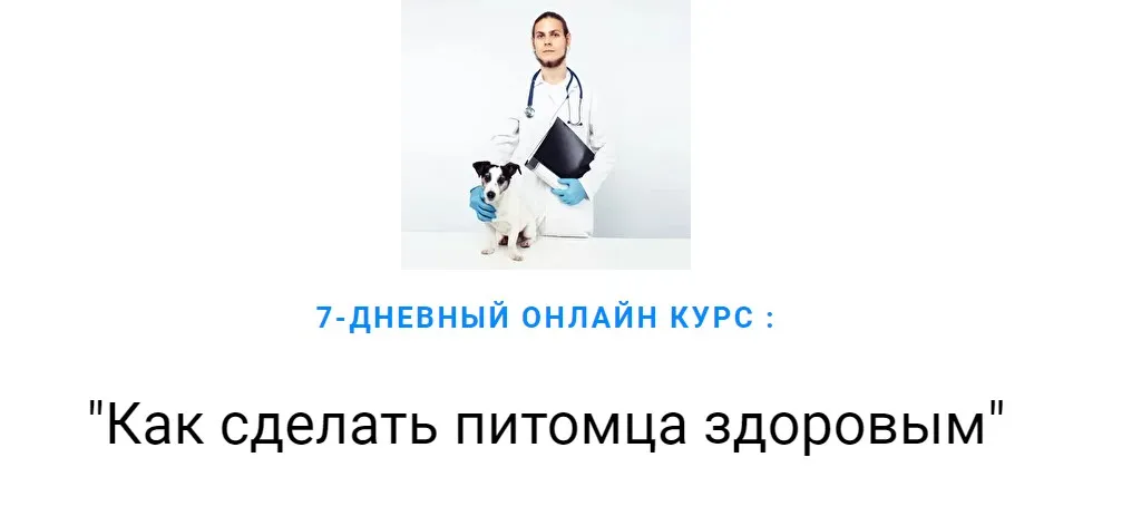 Как сделать питомца здоровым (Дмитрий Русаков)