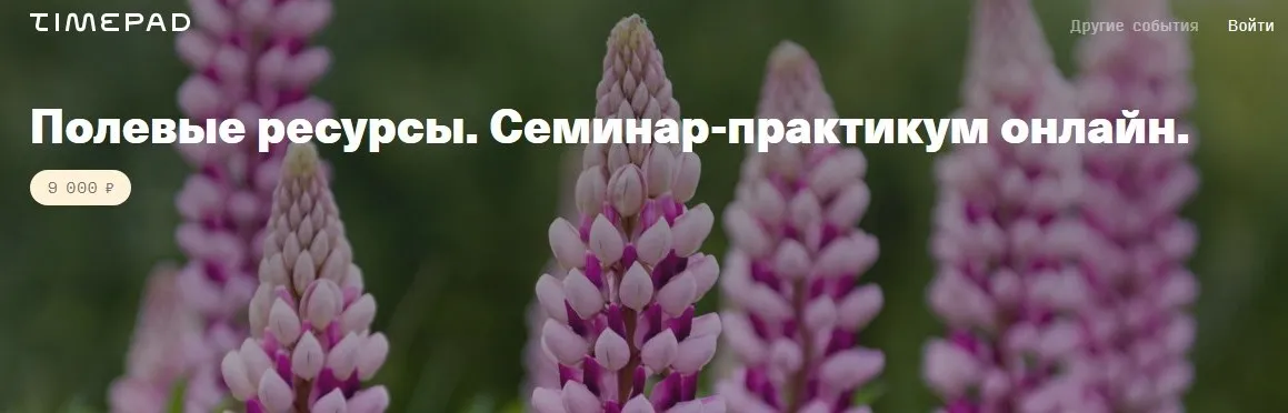 Полевые ресурсы. Семинар-практикум онлайн (Елена Веселаго)