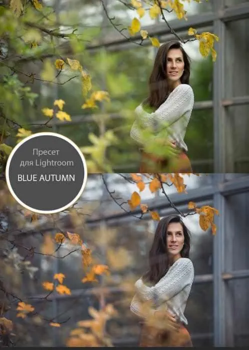 Пресет Blue Autumn (Анна Мельникова)