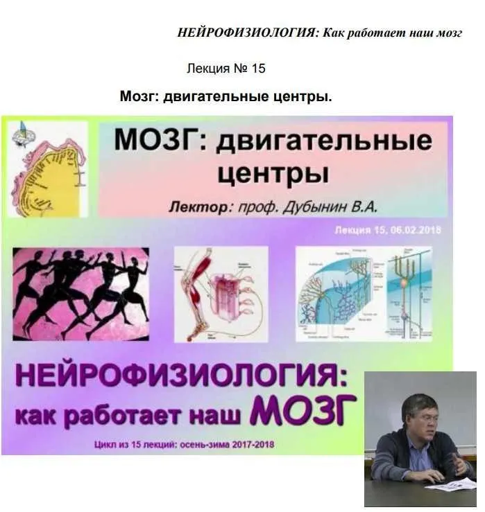 [Культурно-просветительский центр Архэ] Мозг двигательные центры (Вячеслав Дубынин)