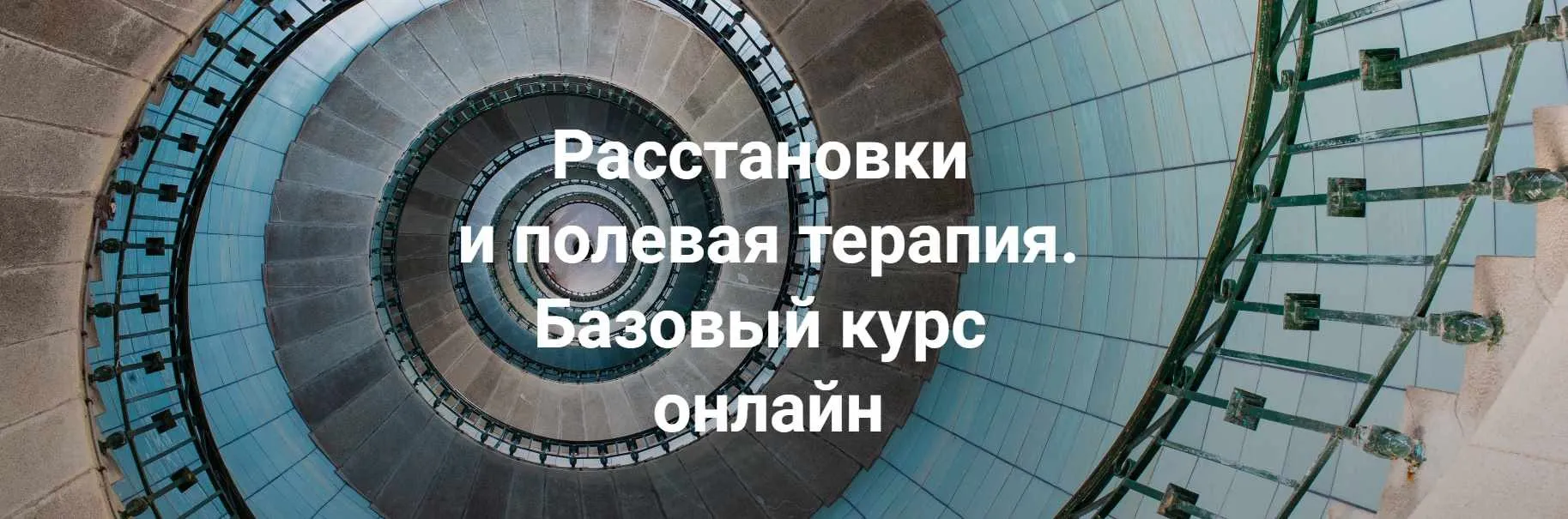 Расстановки и полевая терапия. Базовый курс 2024. Тариф Практика (Елена Веселаго)