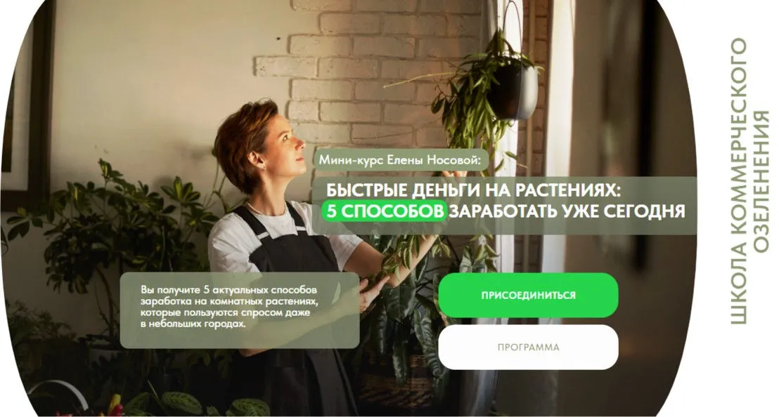 Быстрые деньги на растениях: 5 способов заработать уже сегодня (Елена Носова)
