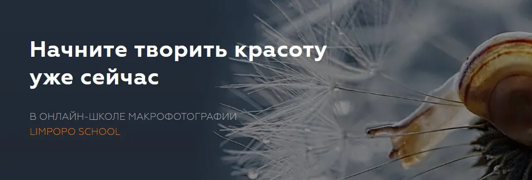 [Limpopo School] Курс по макрофотографии  (Полина Серова, Арсен Алабердов)