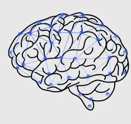 [Sovremenijmetod] Whole Brain Synchronization 30-дневный метод автоматического обучения языков