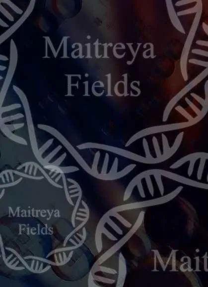 [Maitreya Fields] DM Мандала: Предприниматель   |  The  Entrepreneur