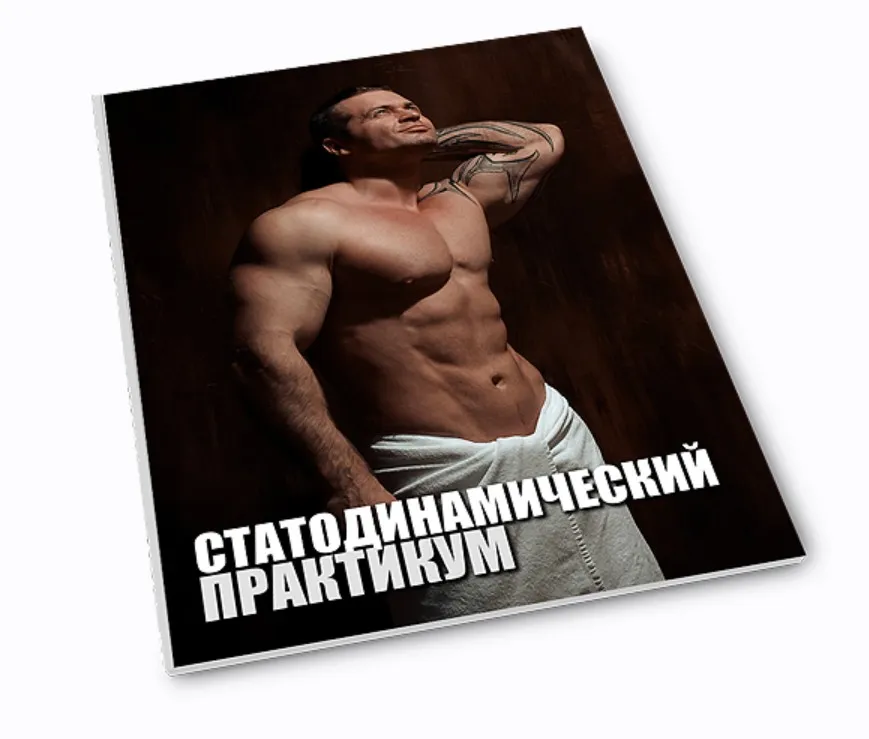 Статодинамический практикум (Денис Борисов)