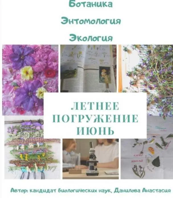 Летнее погружение по ботанике. Июнь (Анастасия Данилова)