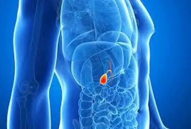 [Sigh Energy] Камни в желчном пузыре | Gallstones Powerful Plus +11x (Extra Strong)