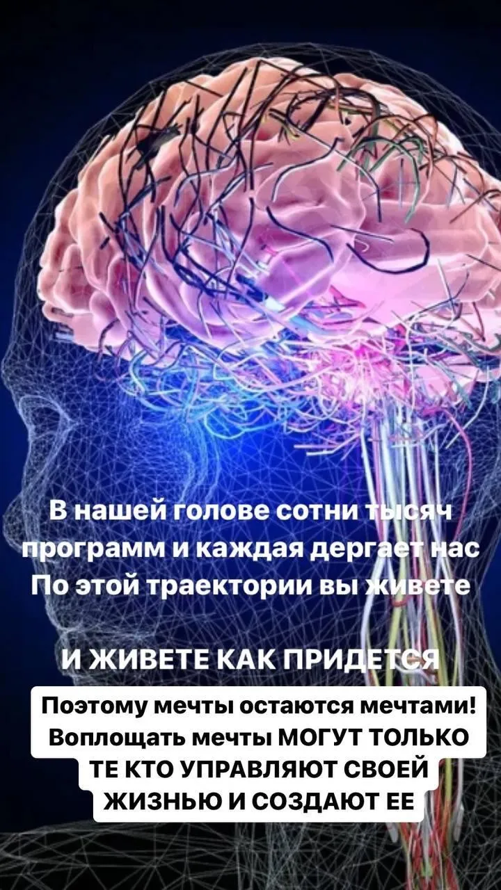 Формирование нейронных связей (Светлана Миронюк)