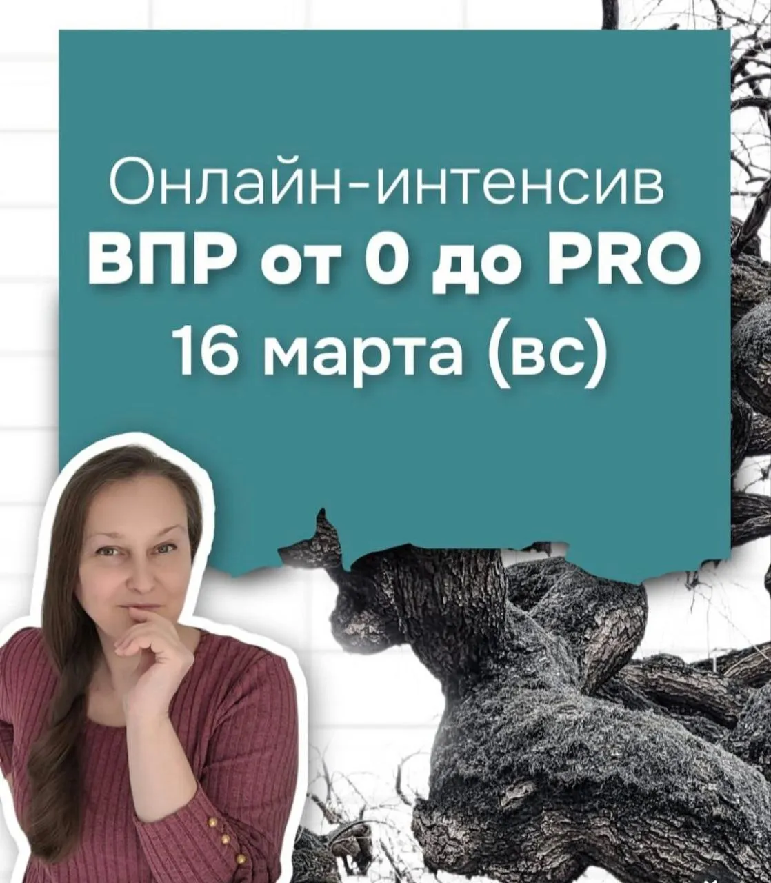 ВПР от 0 до PRO (Олеся Маркович)