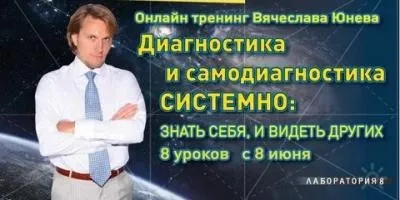 Диагностика и самодиагностика системно (Вячеслав Юнев)