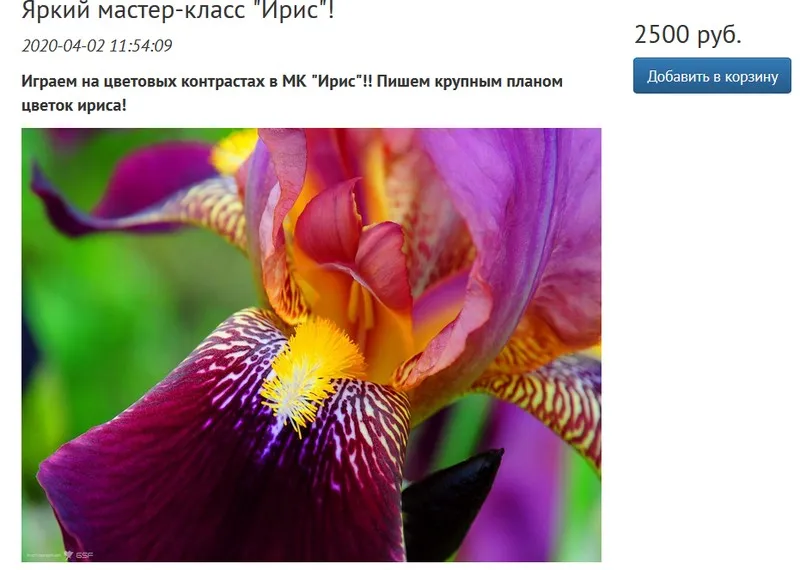 [Студия живописи Надежды Русиновой] Ирис (Надежда Русинова)