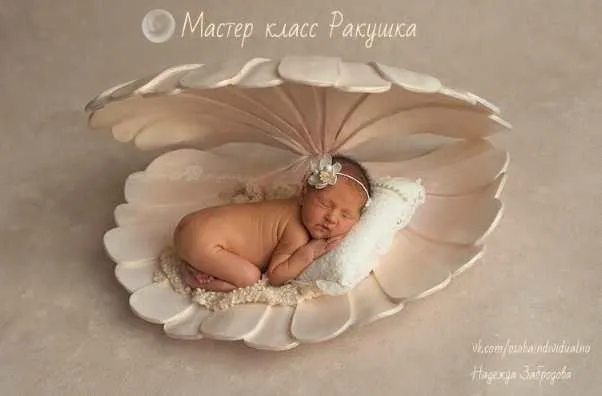 Ракушка из изолона (Надежда Забродова)