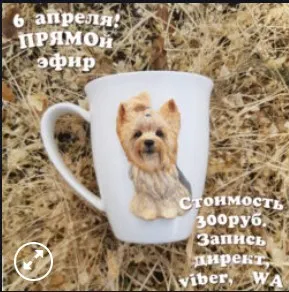 МК Йоркширский терьер (deli_craft)