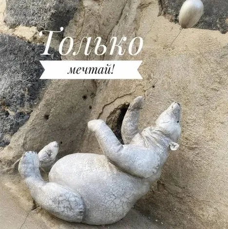 Курс по полярному медведю (Мария Морозова)