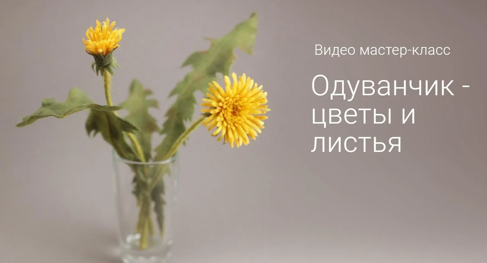 Одуванчик- цветы и листья (Ирина Егорова)