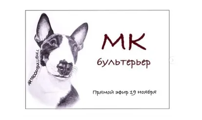 [Лепка] Бультерьер (Владлена Нестерова)