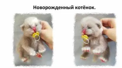 Мастер-класс Новорожденный котенок (Татьяна Коротких)