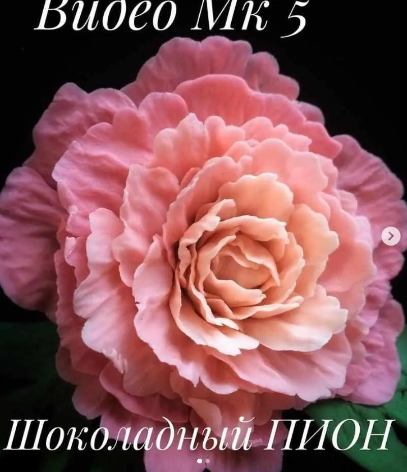 Шоколадный пион (chocofloret)
