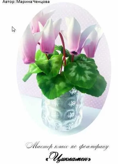 МК «Цикламен» (Марина Ченцова)