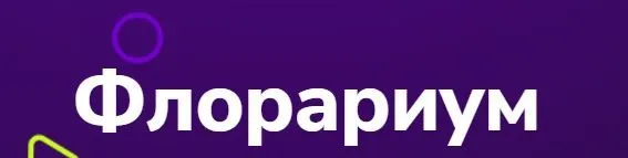 [TutorPlace] Флорариум (Дарья Черданцева)