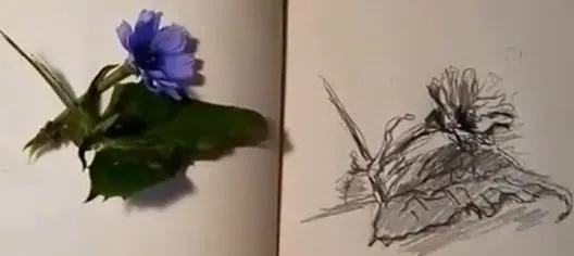 Быстрый скетч карандашом (Наталья Коневец)