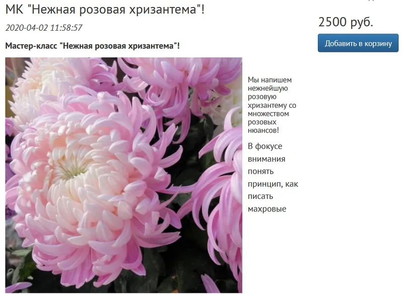 [Студия живописи Надежды Русиновой] Нежная розовая хризантема (Надежда Русинова)