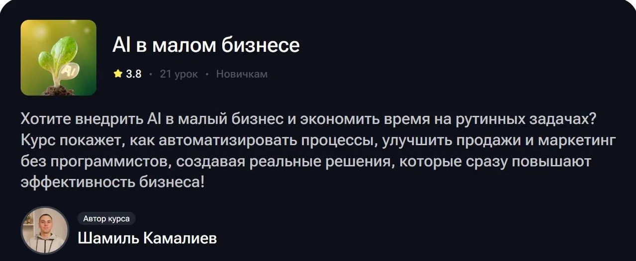 [TutorPlace] AI в малом бизнесе (Шамиль Камалиев)