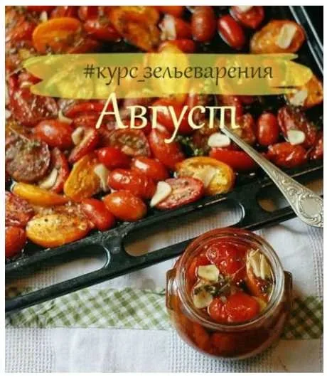 Курс зельеварения «Август» (IrinaTaro)