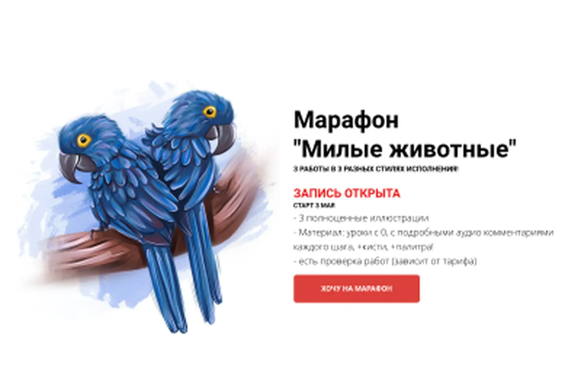 [Vikaarrty] Марафон  Милые животные. Самостоятельно (Виктория Рязанцева)