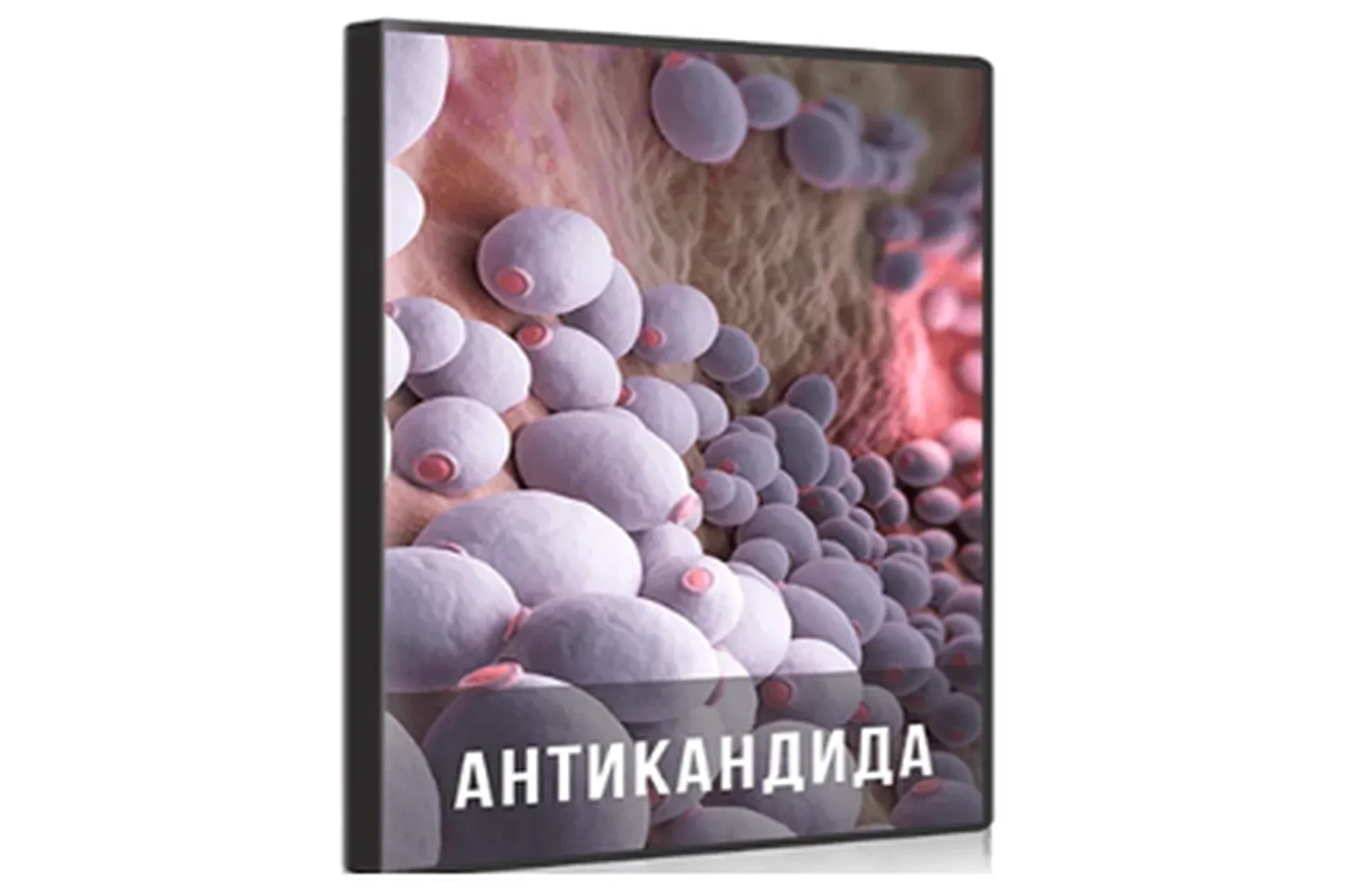 Антикандида (Ольга Бутакова)