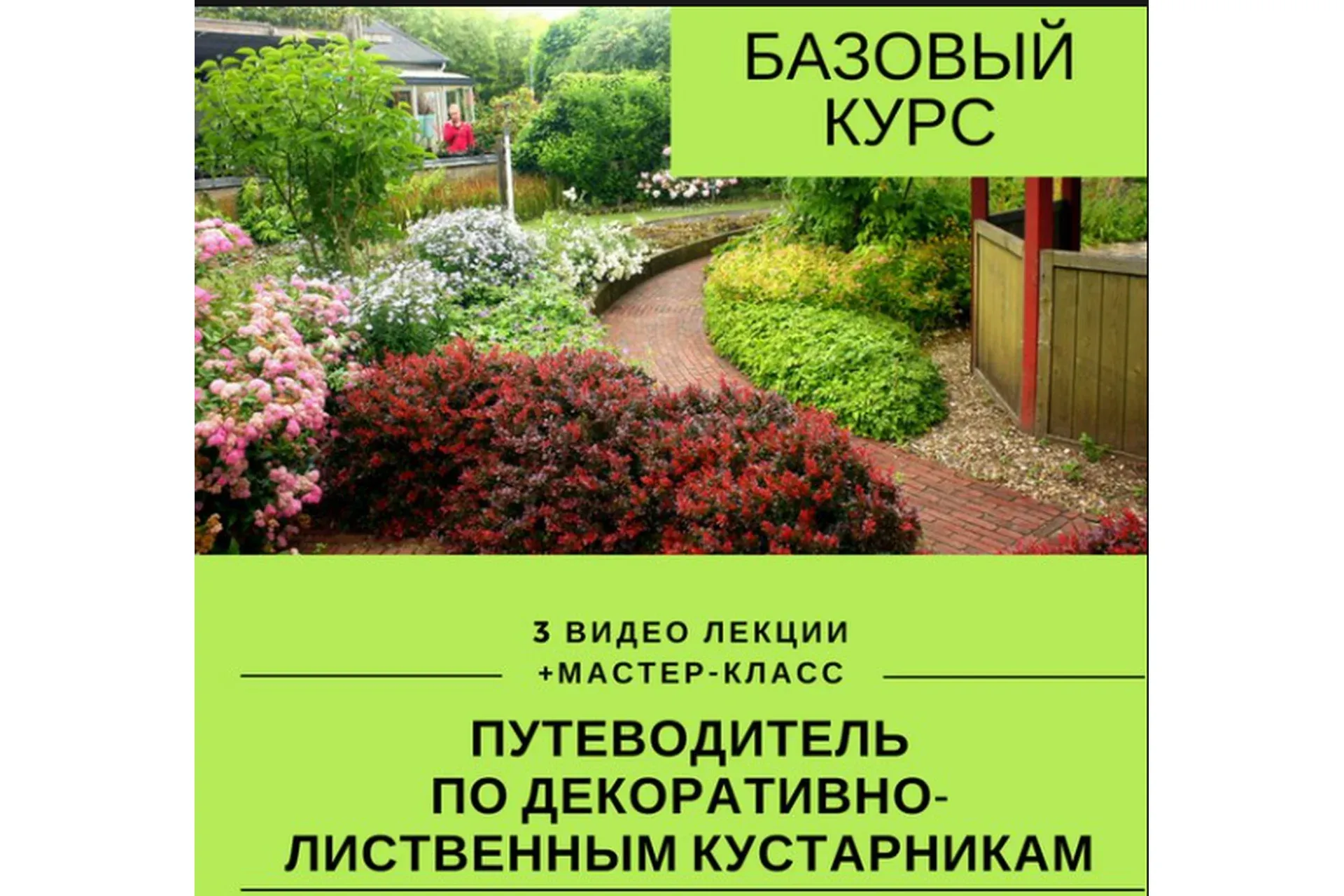 Путеводитель по декоративным растениям (Наталья Мягкова)