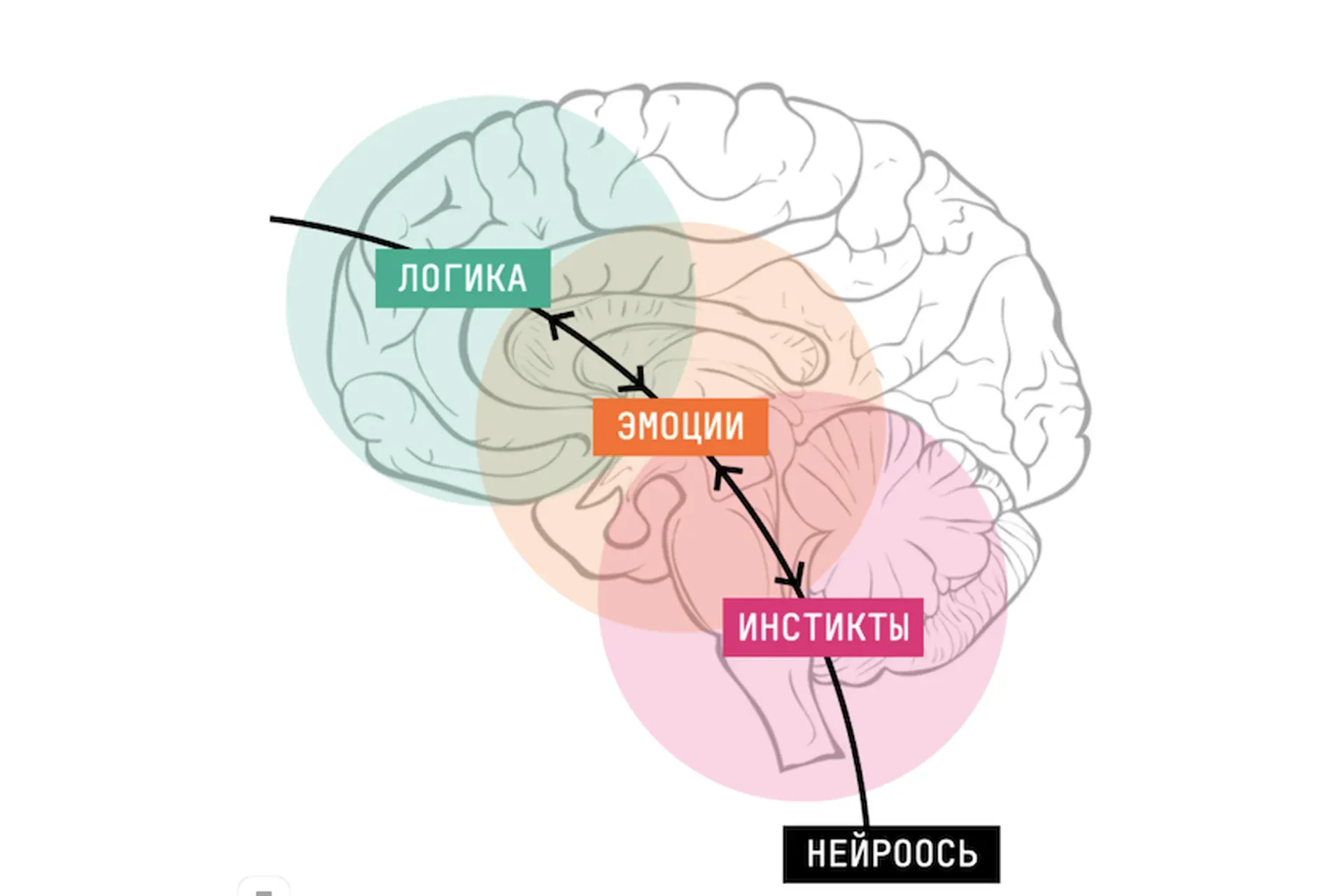 Новая орбита. Обновленный нейрокоучинг для достижения целей. Базовый (Катерина Ленгольд)