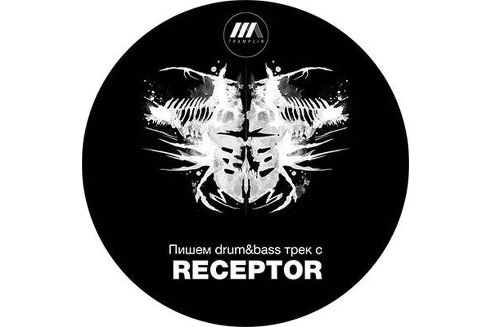 [Tramplin] Drum&Bass Producer (Receptor)