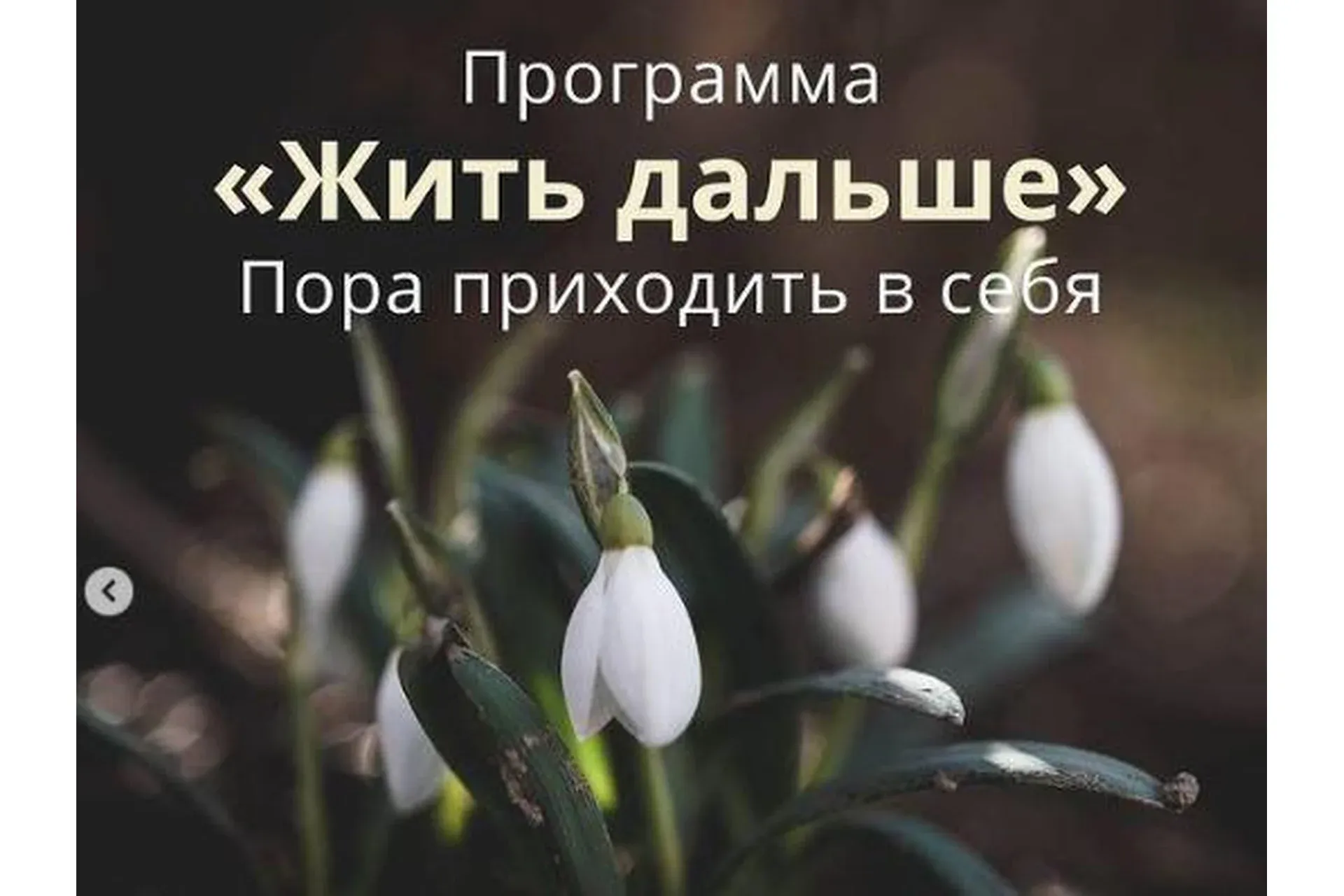 [Мозгоправня] Программа поддержки Жить дальше (Ника Набокова)