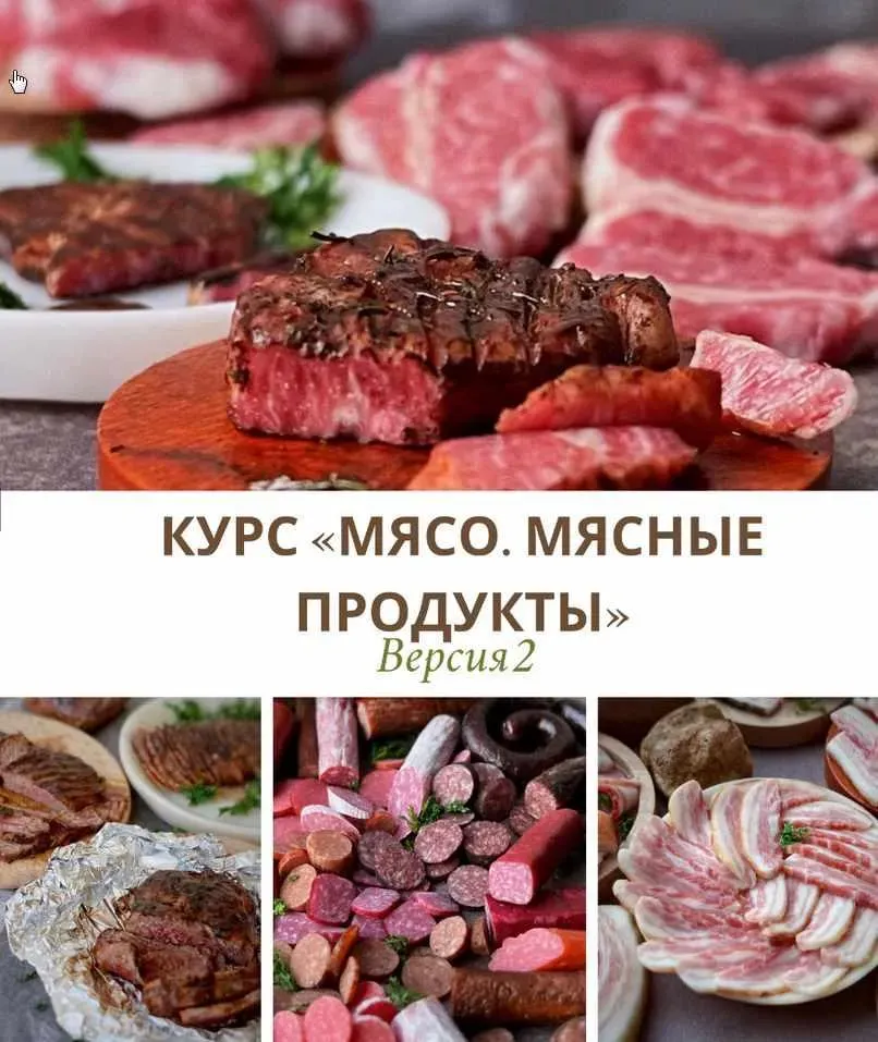 Курс «Мясо, мясные продукты» Версия 2, 2020 год (ardo_miniture)