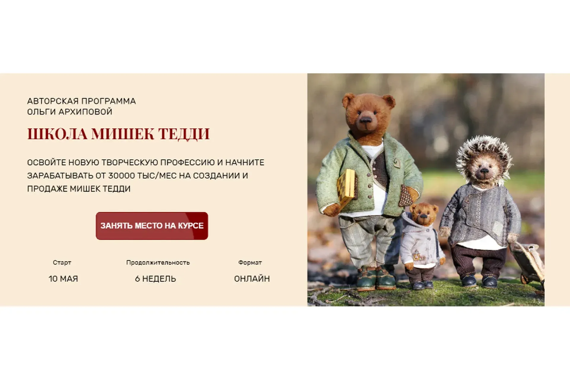Школа мишек Тедди. Уровень Мастер (Ольга Архипова)
