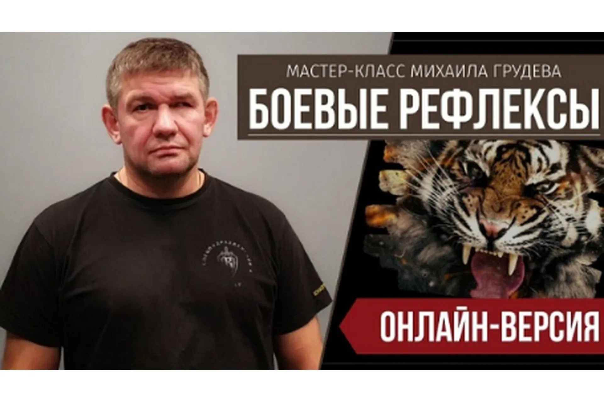 Боевые рефлексы (Михаил Грудев)