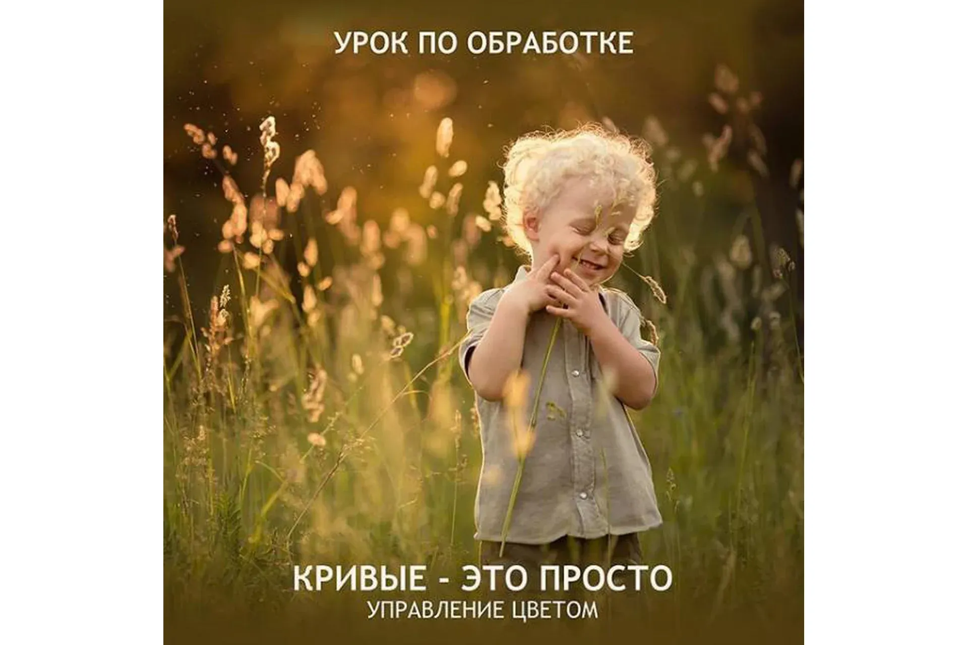 Кривые - это просто. Управление цветом (Татьяна Тетерева)