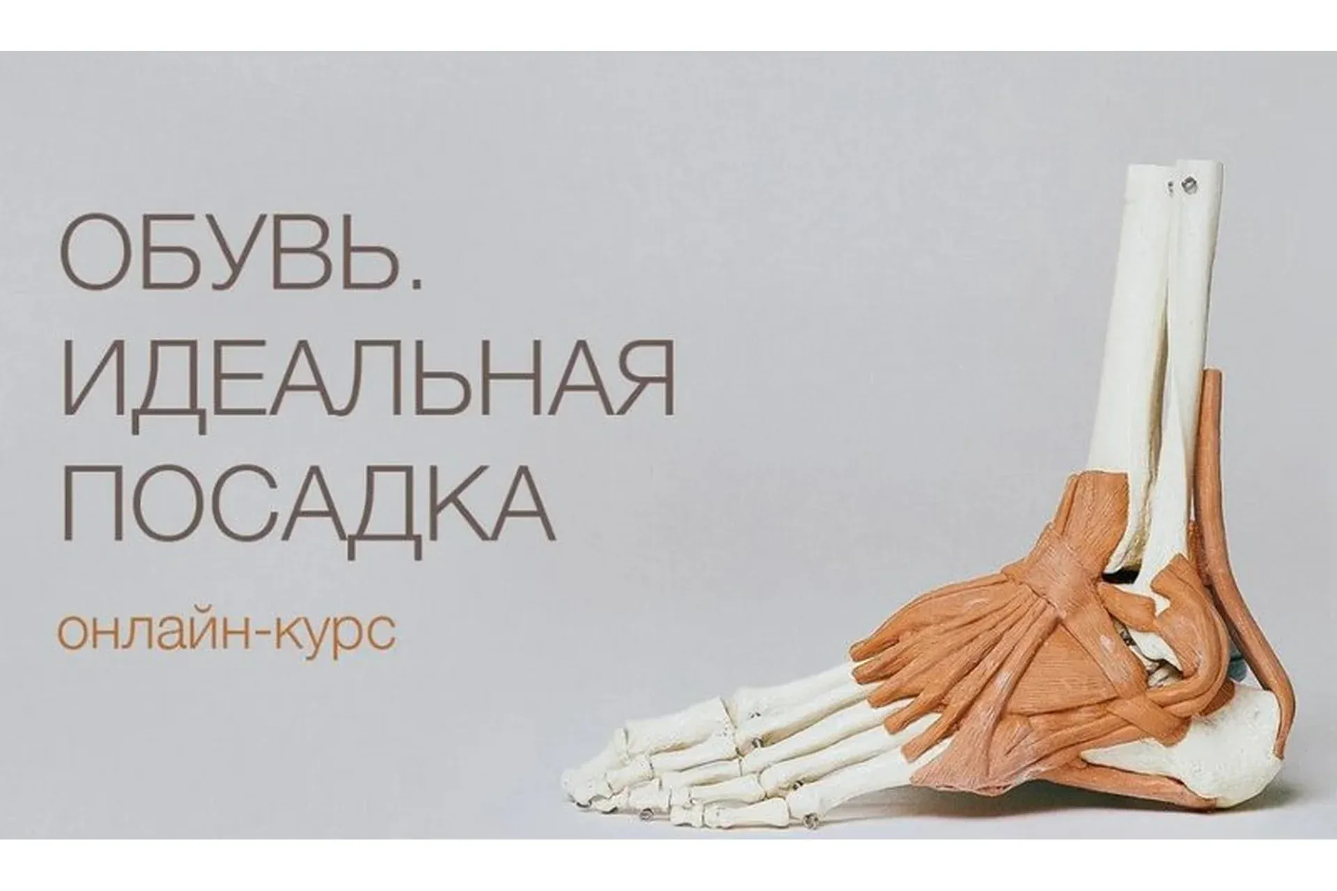 Обувь. Идеальная посадка  (Полина Вахитова)